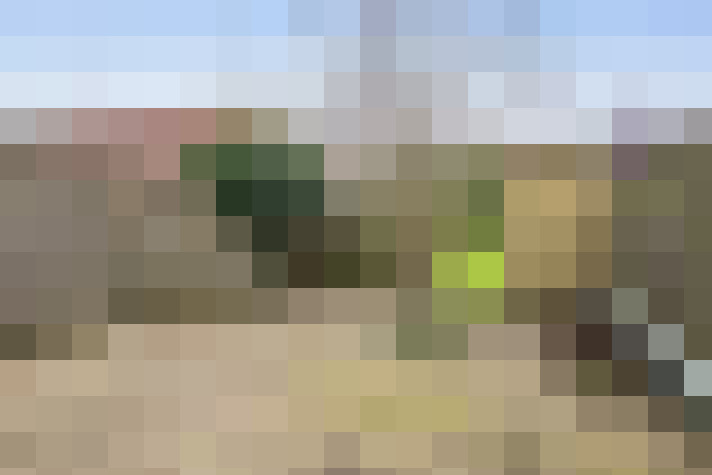 Image 23