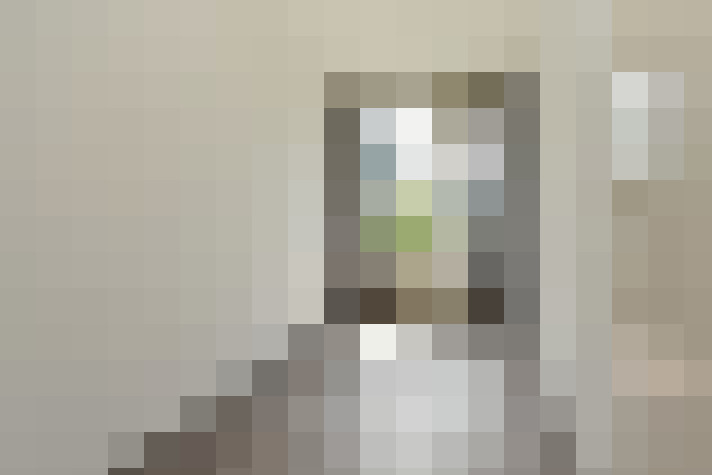 Image 20