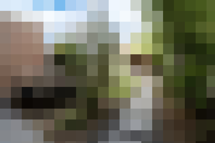 Image 27