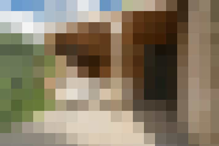 Image 25