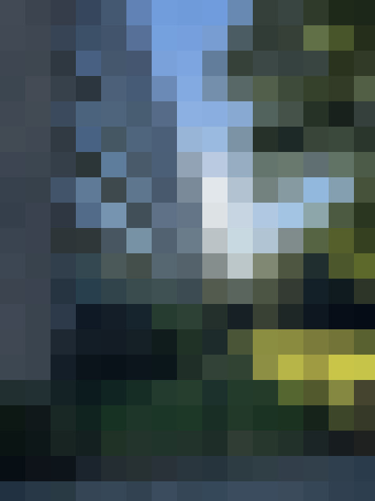 Image 15