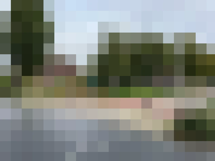 Image 13