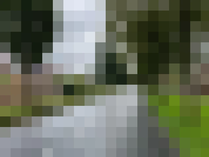 Image 14