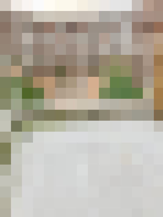 Image 14