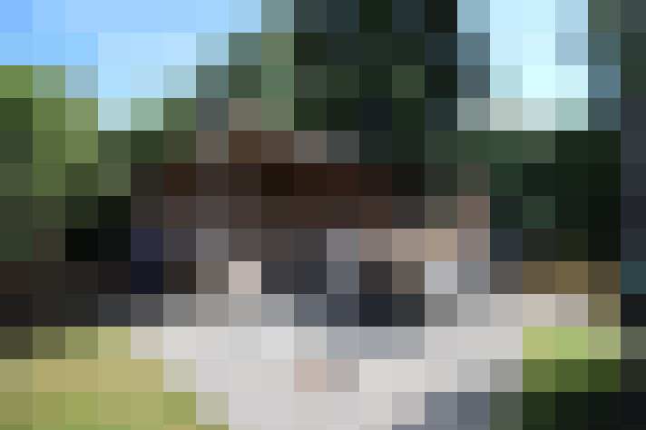 Image 25