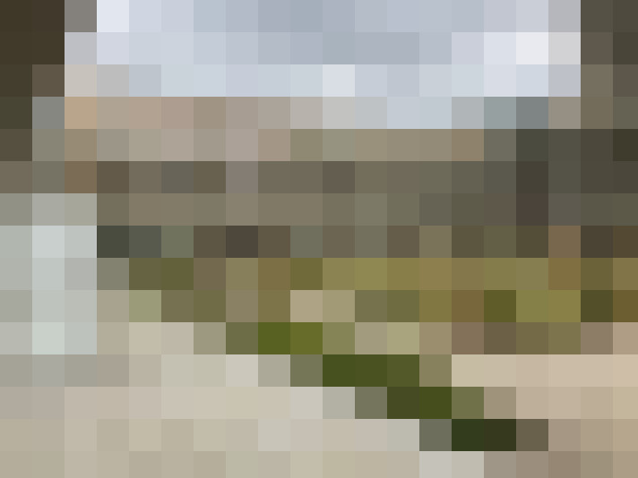 Image 14