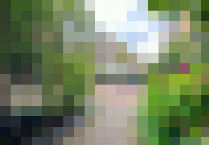 Image 23