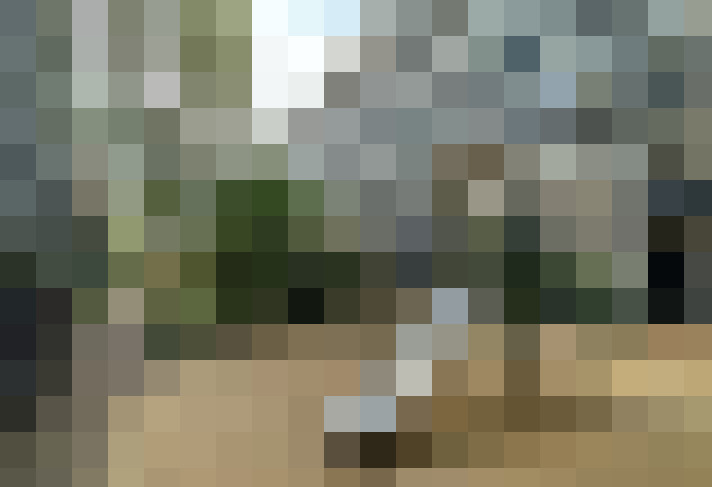 Image 22