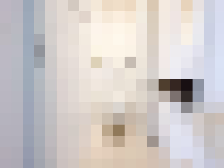 Image 20