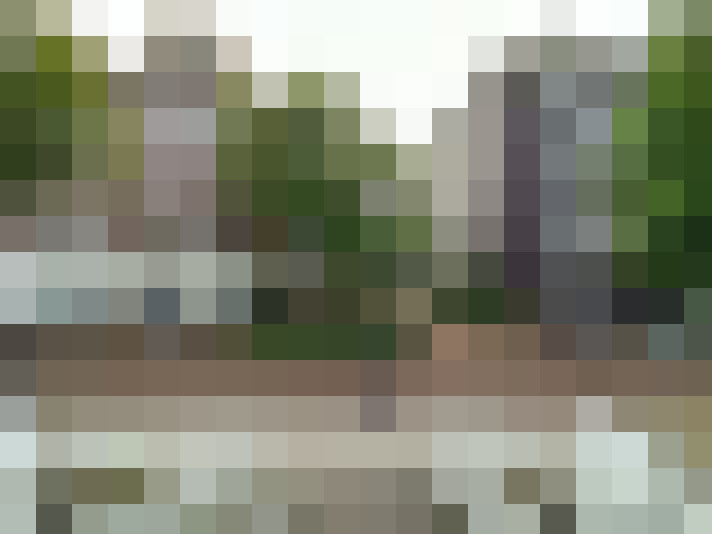 Image 24