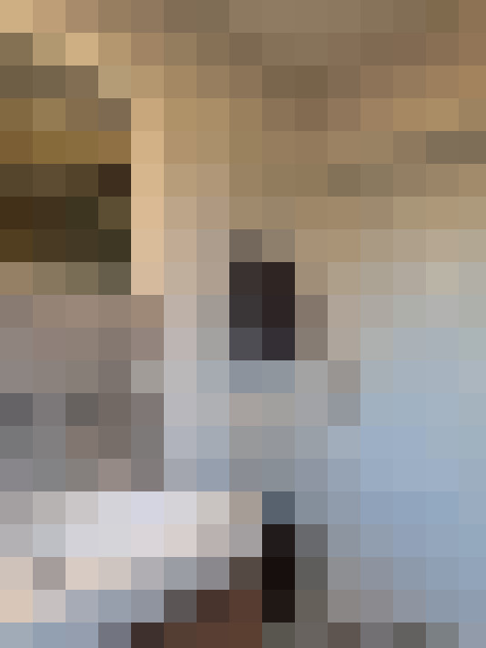 Image 31