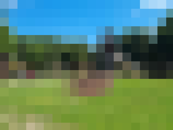 Image 41