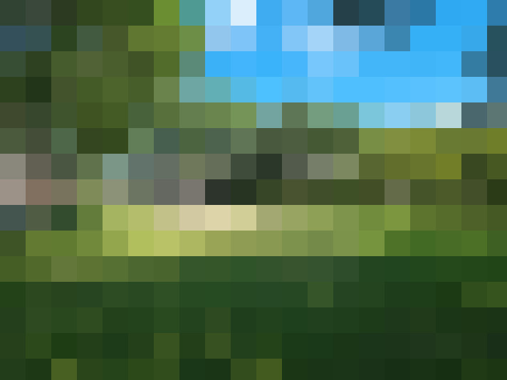 Image 42