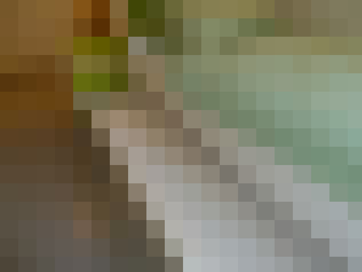 Image 23