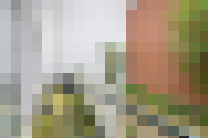 Image 35