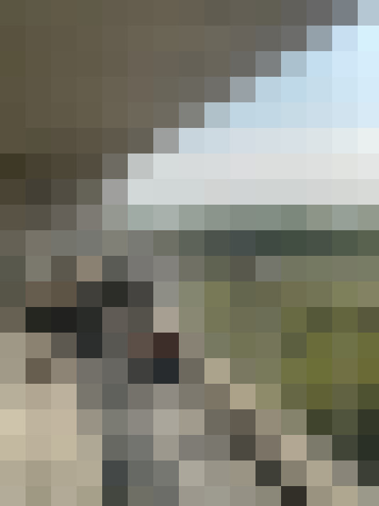 Image 22