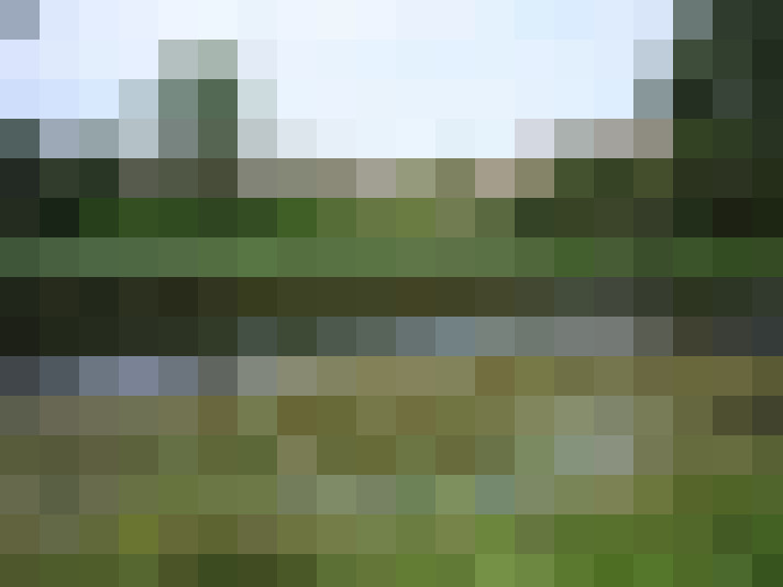 Image 49