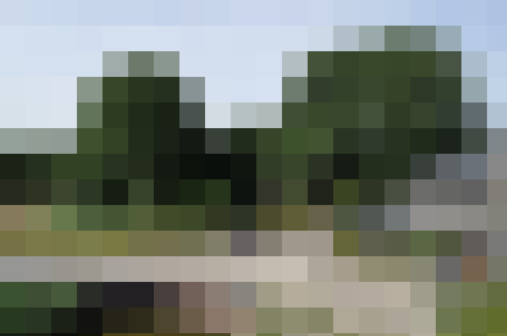 Image 50