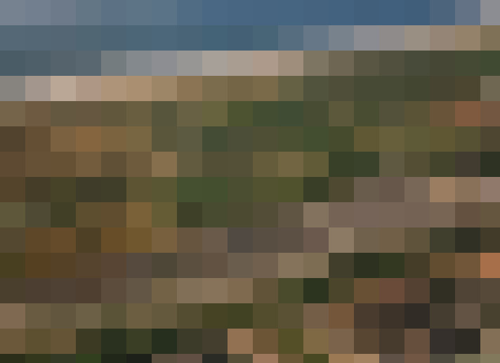 Image 51
