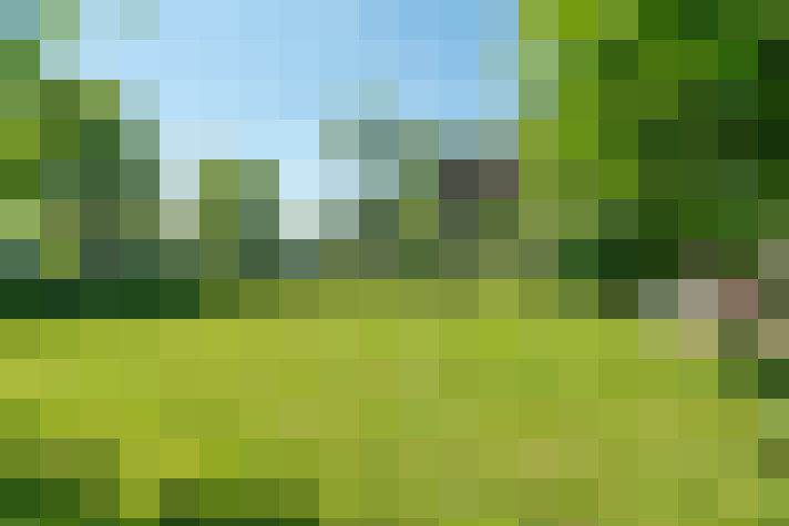 Image 67