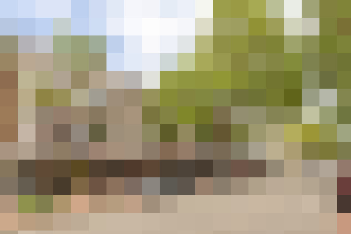 Image 42