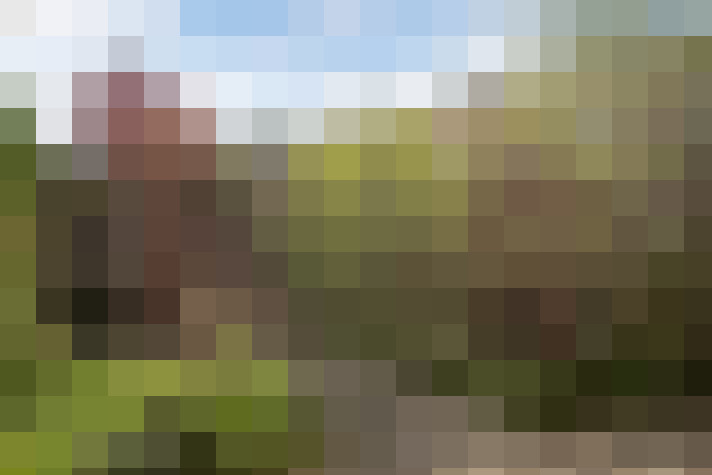 Image 39