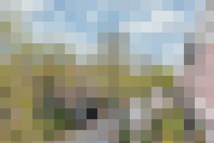 Image 22