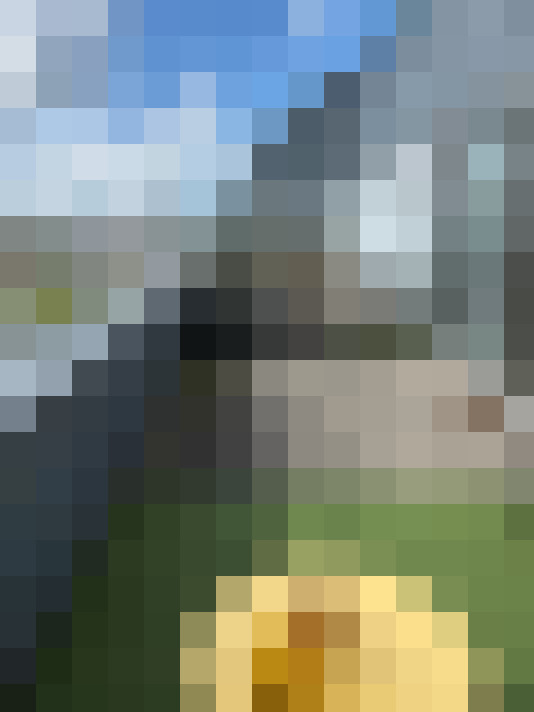 Image 34