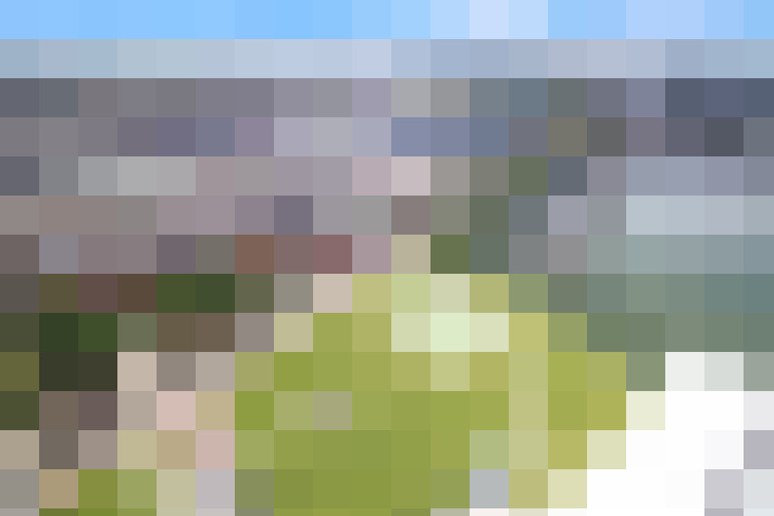 Image 50