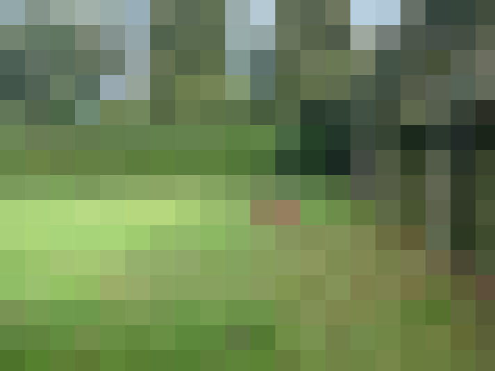 Image 37
