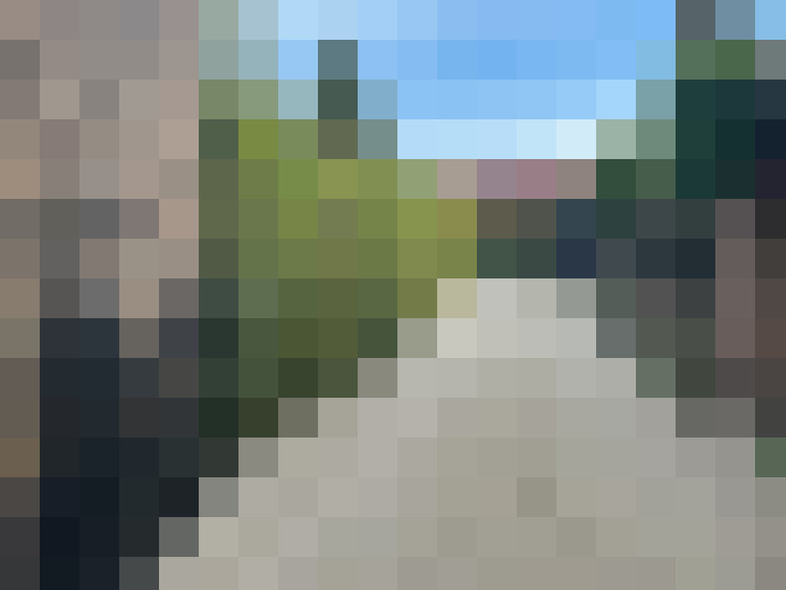 Image 25