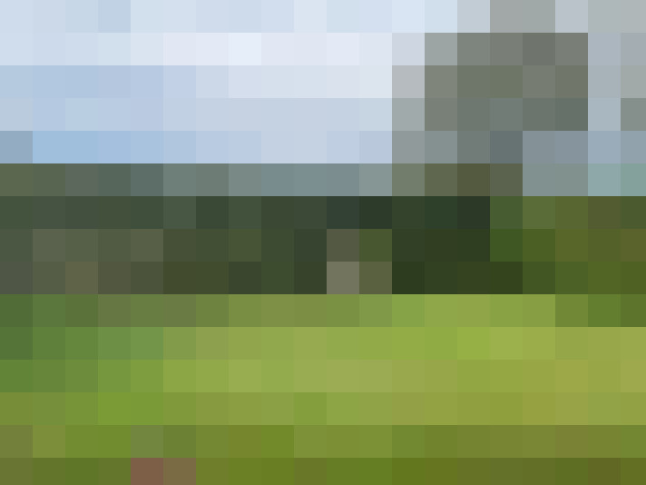 Image 36