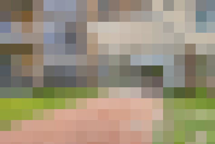 Image 25