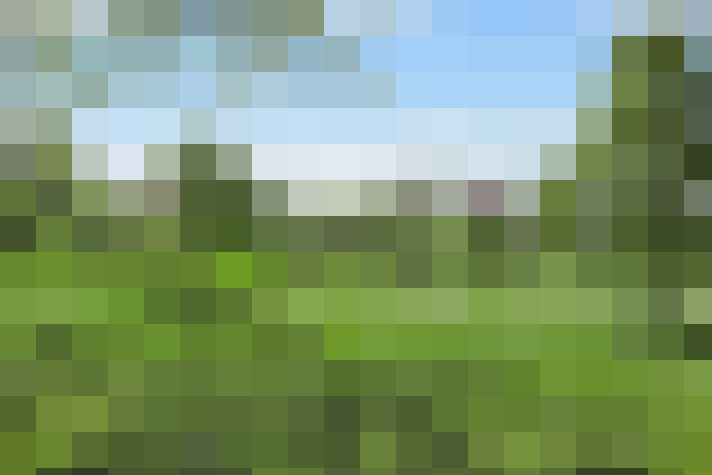 Image 31