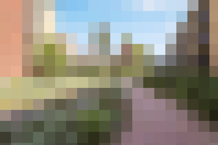 Image 29