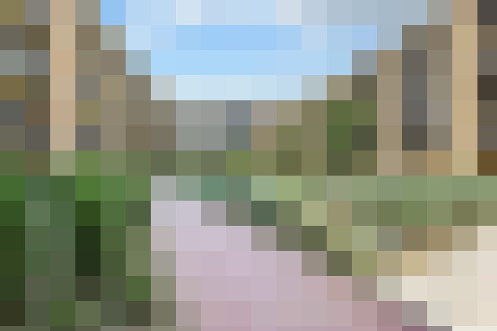 Image 30