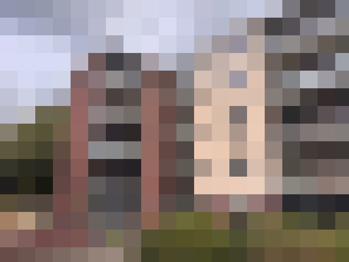 Image 29