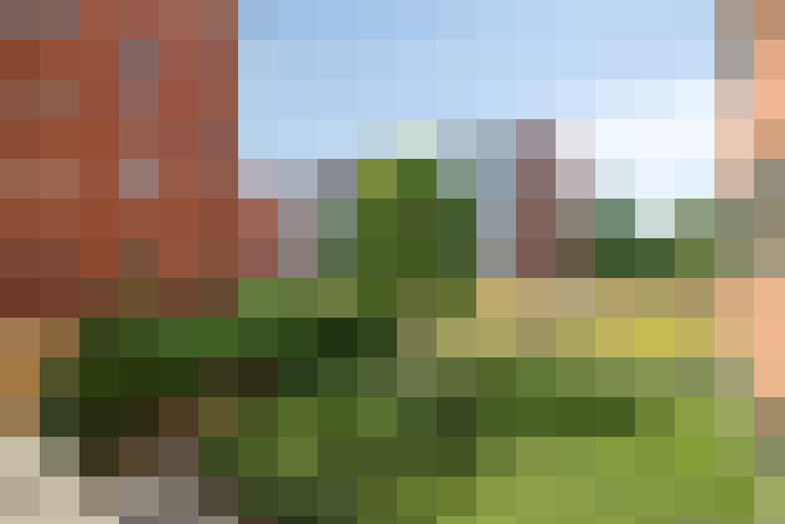 Image 20