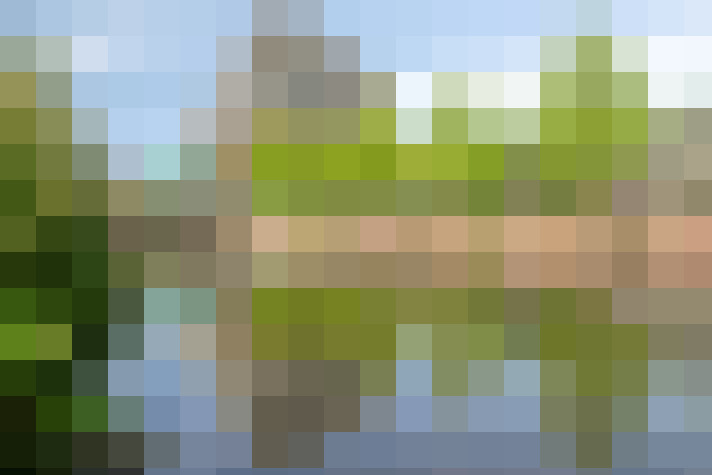 Image 22