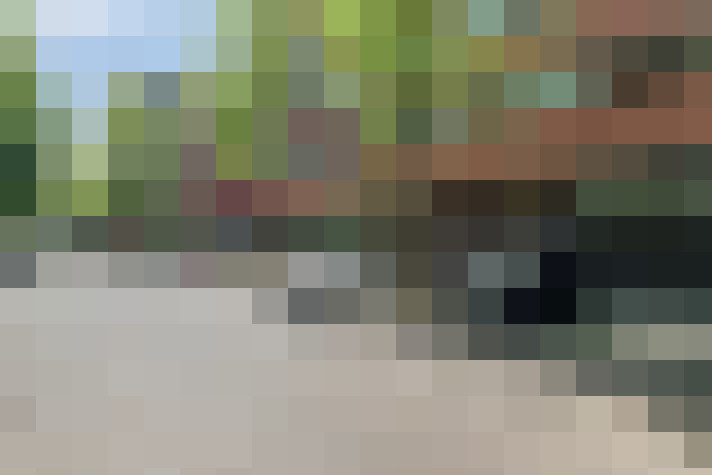 Image 26