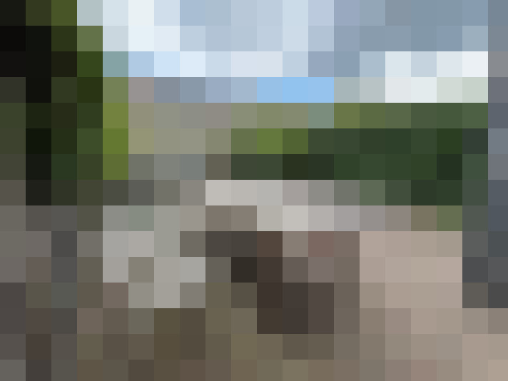 Image 15