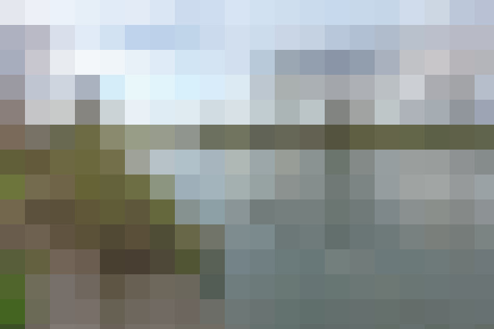 Image 50