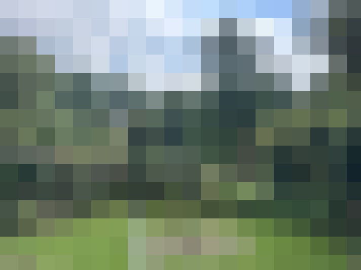 Image 25
