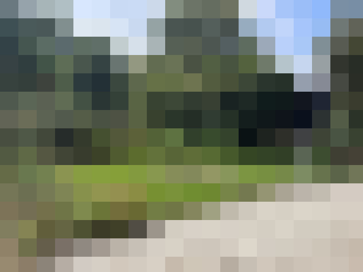 Image 24