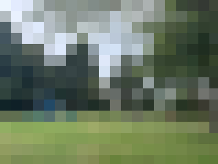 Image 31