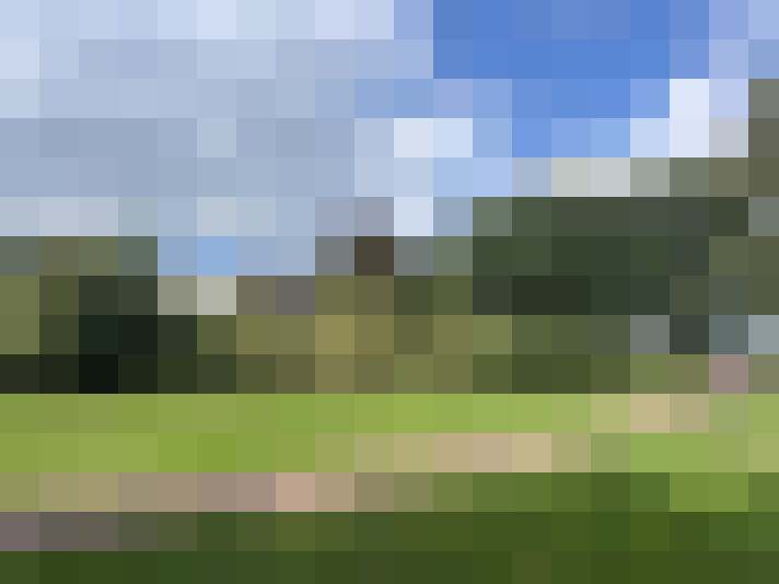 Image 28