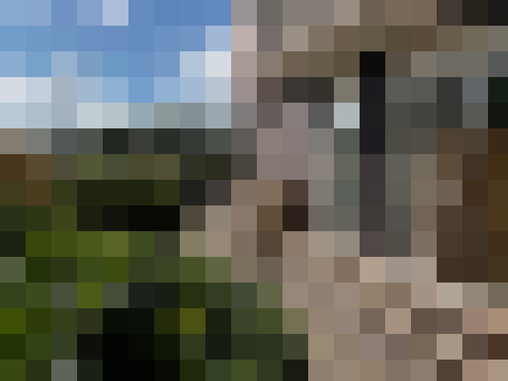 Image 20