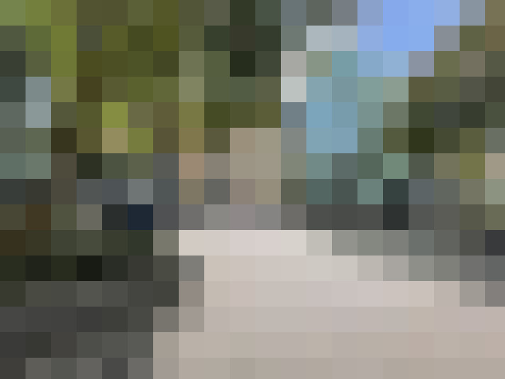 Image 23