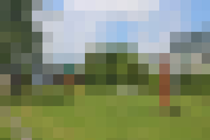 Image 16