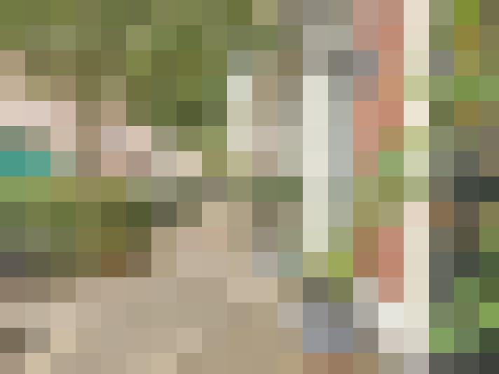Image 44